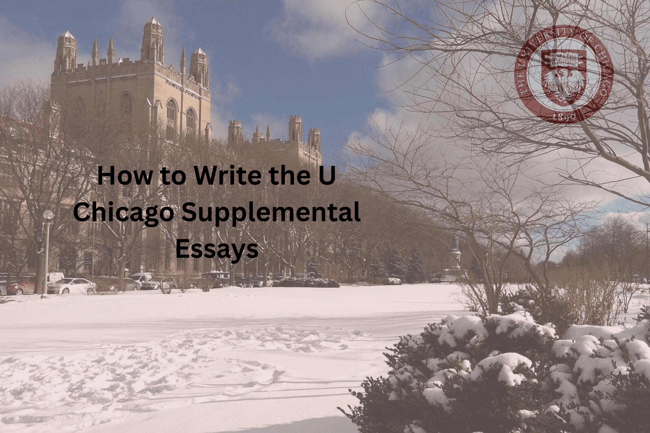 How to write the U Chicago Essays