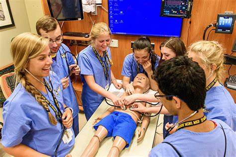 Pre Med summer Programs